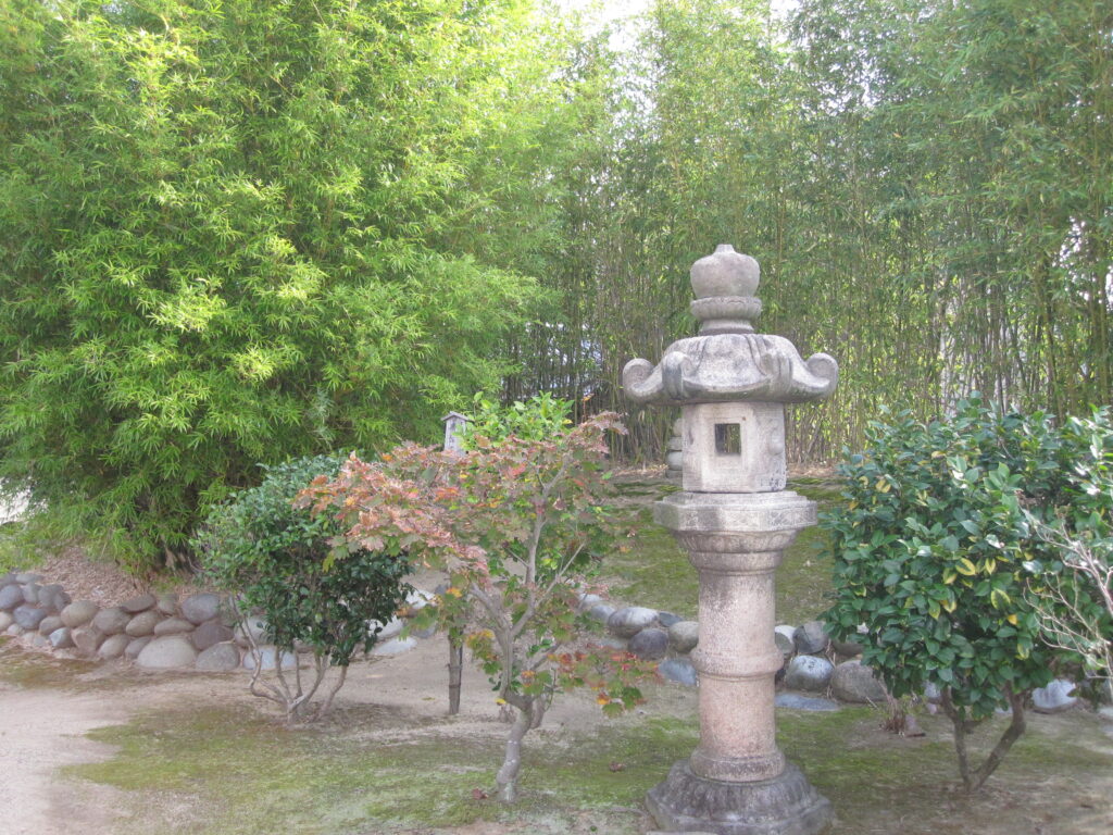 青葉の竹林