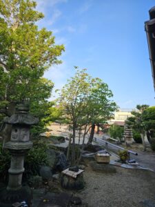 枯山水4