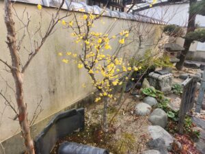 枯山水9